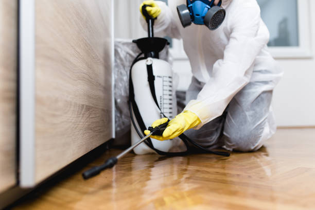 Best Pest Control for Businesses  in Omao, HI
