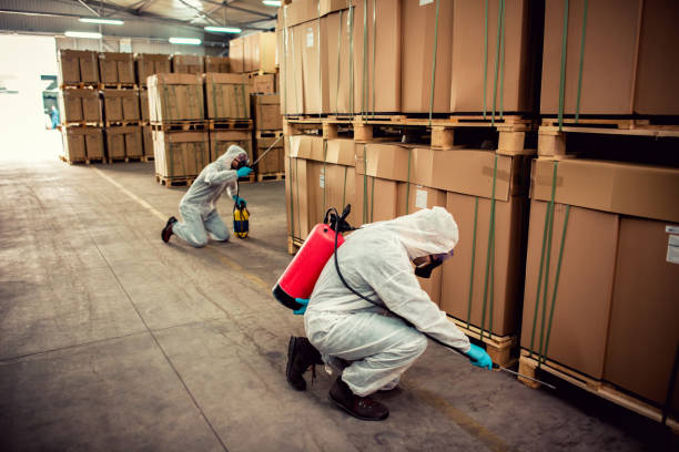 Pest Control Cost in Omao, HI