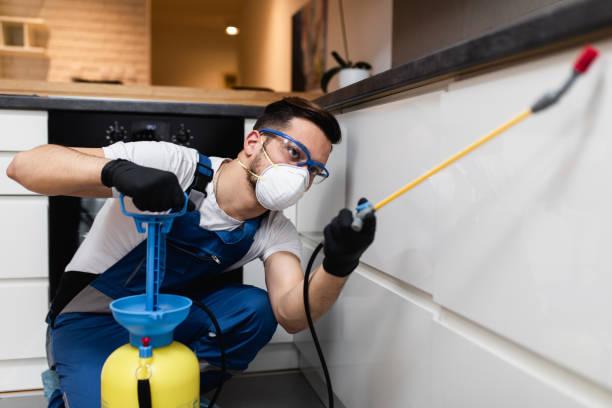 Best Pest Inspection Near Me  in Omao, HI
