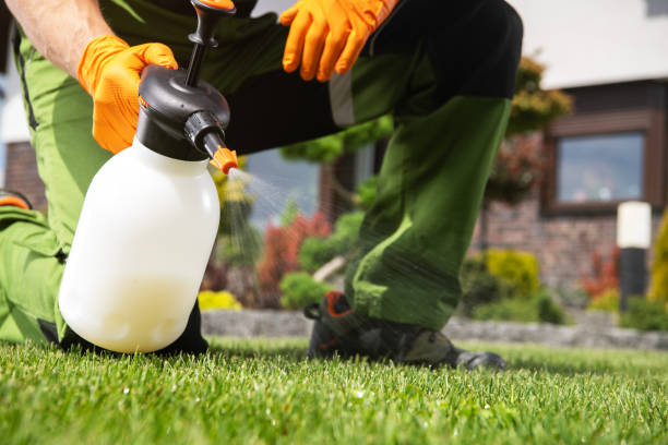 Wildlife Control Services in Omao, HI