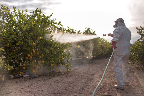 Best Best Pest Control Companies  in Omao, HI
